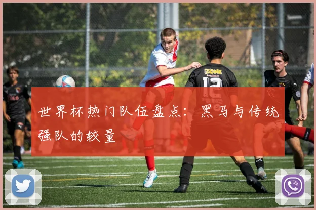 世界杯热门队伍盘点:黑马与传统强队的较量